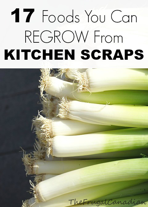17 foods you can grow from kitchen scraps