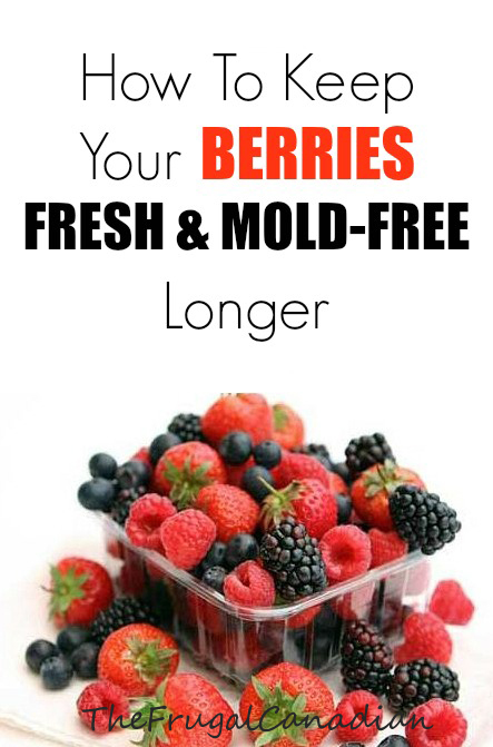 Extend Berries Life With This Washing Method