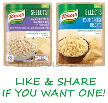 knorr selects